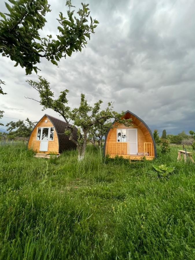 Bosogo Yurt Camp Hotell Bokonbayevo Eksteriør bilde